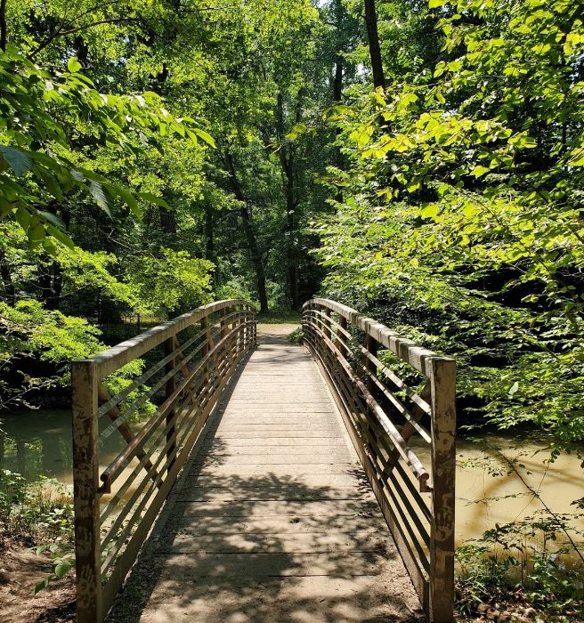 Warren Dunes State Park - 2023 Recent Photo From Website (newer photo)